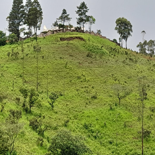 Terrain de 3500 mètre carré à vendre