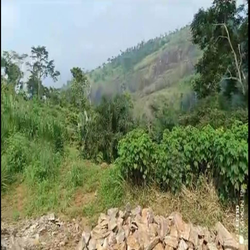 Terrain à vendre à Yaoundé, Fébé Village